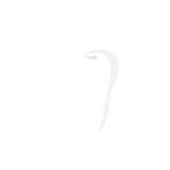 プロフェッショナルケア